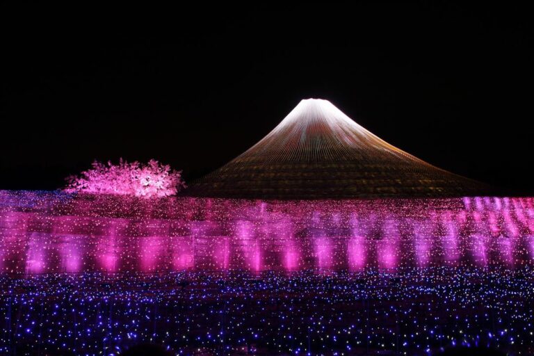 The Light Festival and Traditions in Japan - Buy eSIMs for